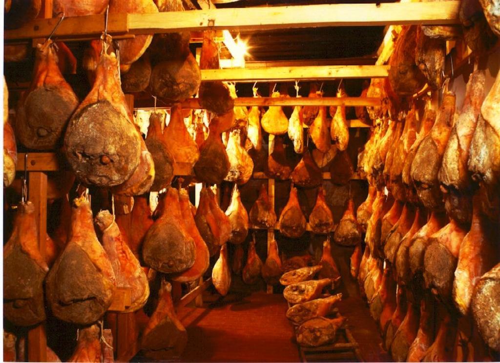 Osteria Carnivora Guest House Gaiole in Chianti Dış mekan fotoğraf